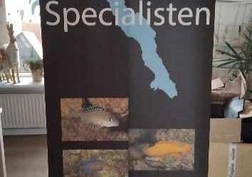 Tanganyika specialisten